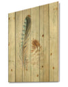 Natural Feathers on Wood I - Farmhouse Print on Natural Pine Wood