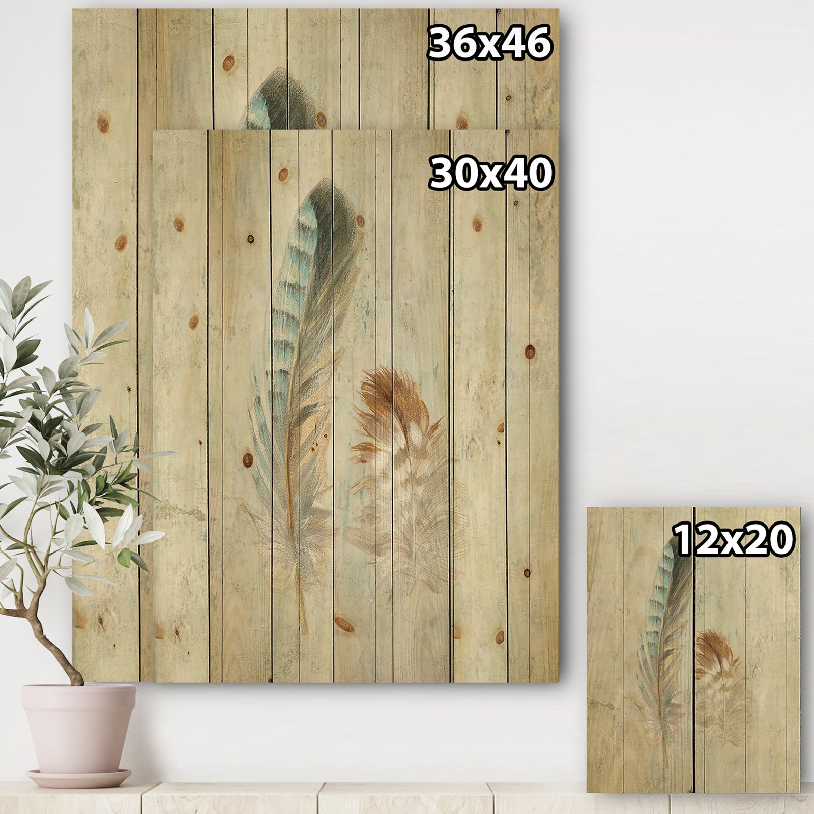 Natural Feathers on Wood I - Farmhouse Print on Natural Pine Wood
