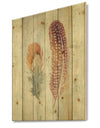 Natural Feathers on Wood II - Farmhouse Print on Natural Pine Wood