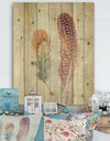 Natural Feathers on Wood II - Farmhouse Print on Natural Pine Wood