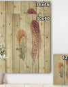 Natural Feathers on Wood II - Farmhouse Print on Natural Pine Wood