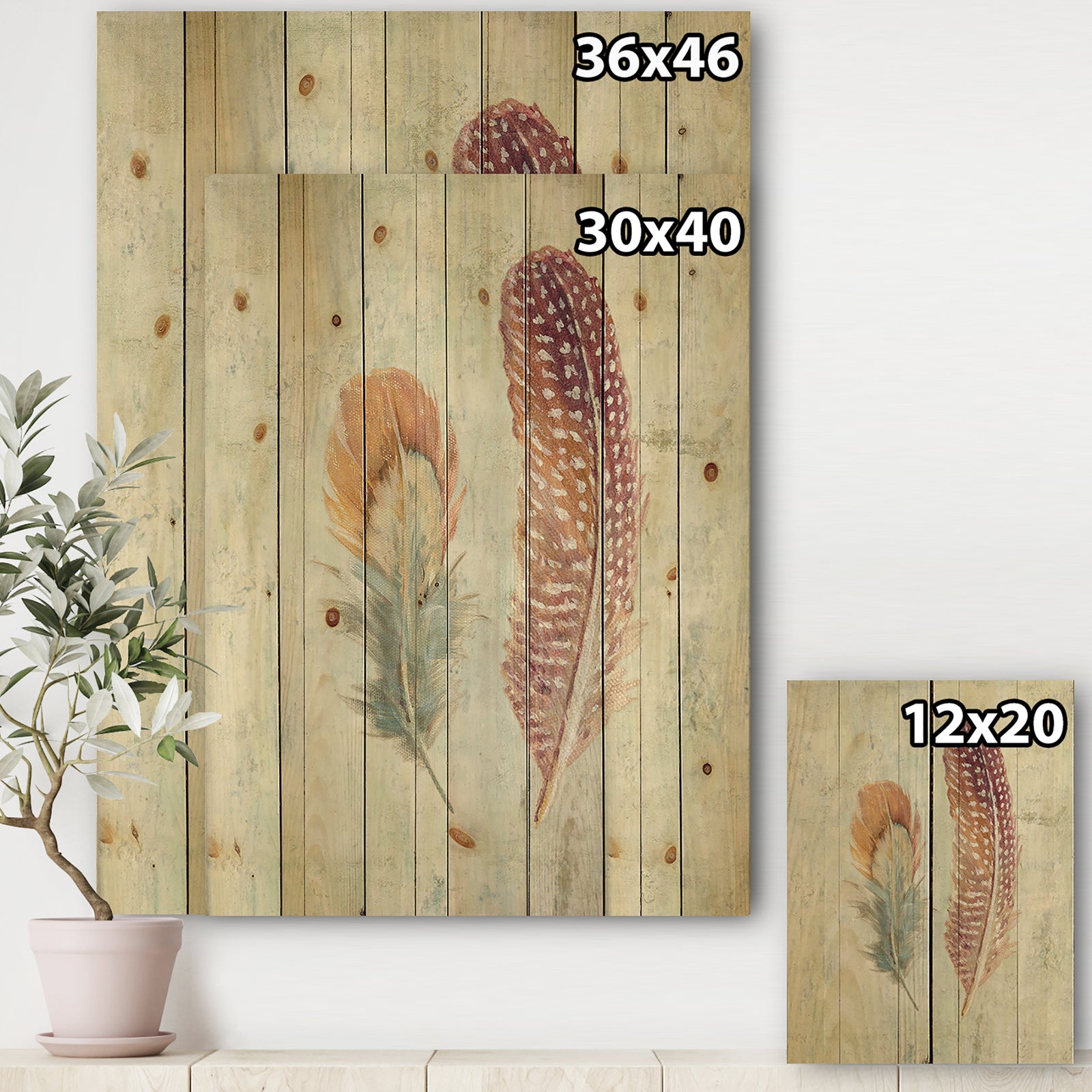 Natural Feathers on Wood II - Farmhouse Print on Natural Pine Wood