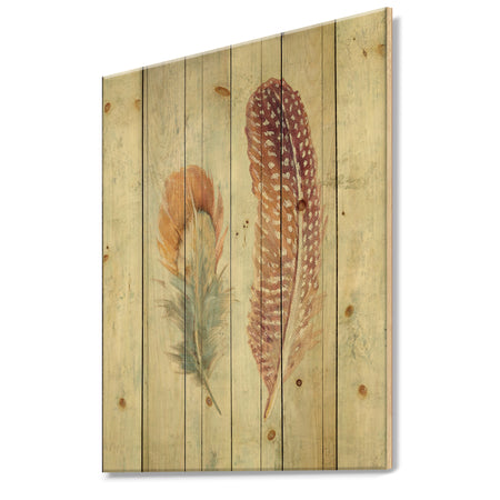 Natural Feathers on Wood II - Farmhouse Print on Natural Pine Wood