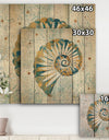 Spiral Shell - Nautical & Coastal Print on Natural Pine Wood