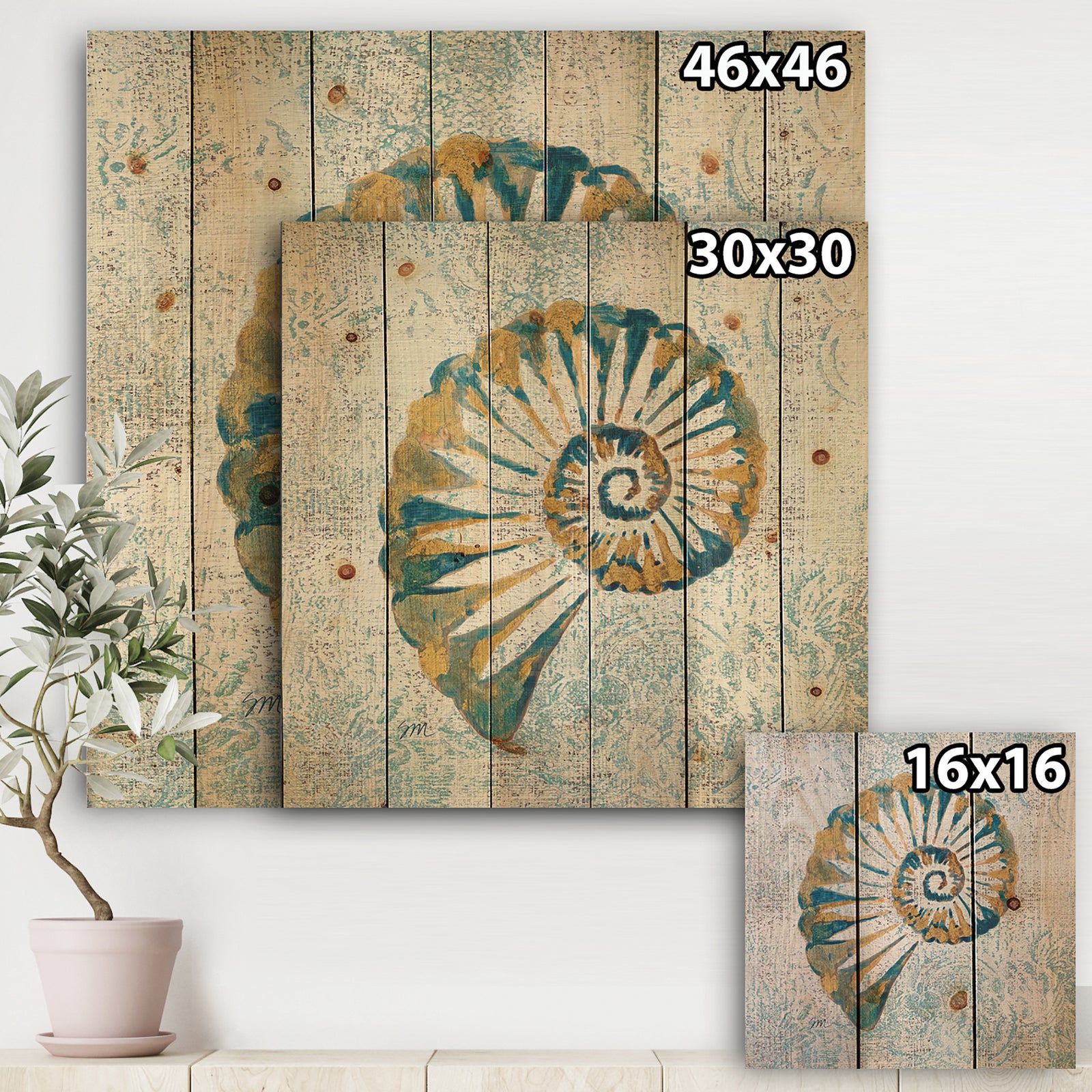 Spiral Shell - Nautical & Coastal Print on Natural Pine Wood