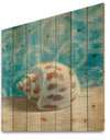 Composition from the Sea III - Nautical & Coastal Print on Natural Pine Wood