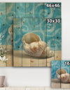 Composition from the Sea IV - Nautical & Coastal Print on Natural Pine Wood