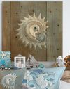 Seashell Treasures from the Sea III - Nautical & Coastal Print on Natural Pine Wood