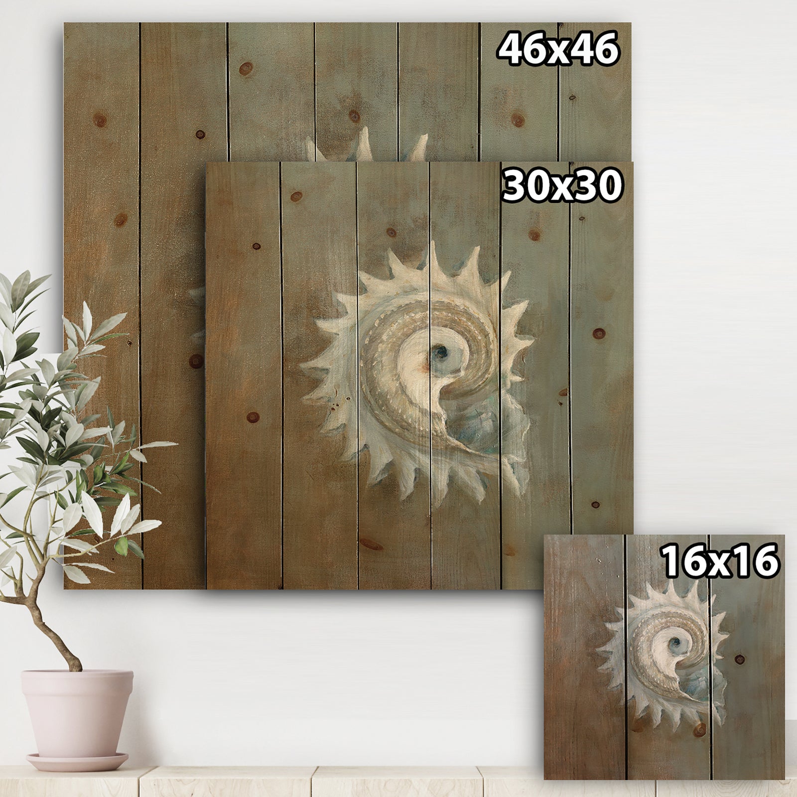 Seashell Treasures from the Sea III - Nautical & Coastal Print on Natural Pine Wood