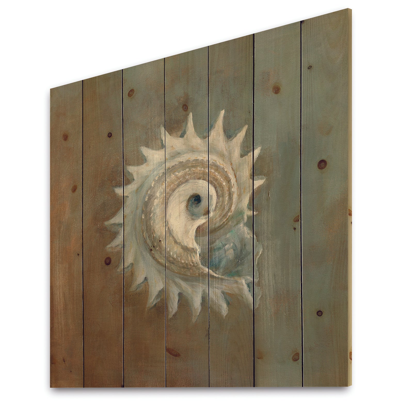 Seashell Treasures from the Sea III - Nautical & Coastal Print on Natural Pine Wood