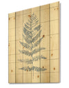 Blue Fern Print on wood II - Cabin & Lodge Print on Natural Pine Wood