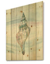 Ocean Metallic Conch - Lake House Print on Natural Pine Wood