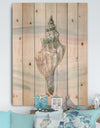 Ocean Metallic Conch - Lake House Print on Natural Pine Wood