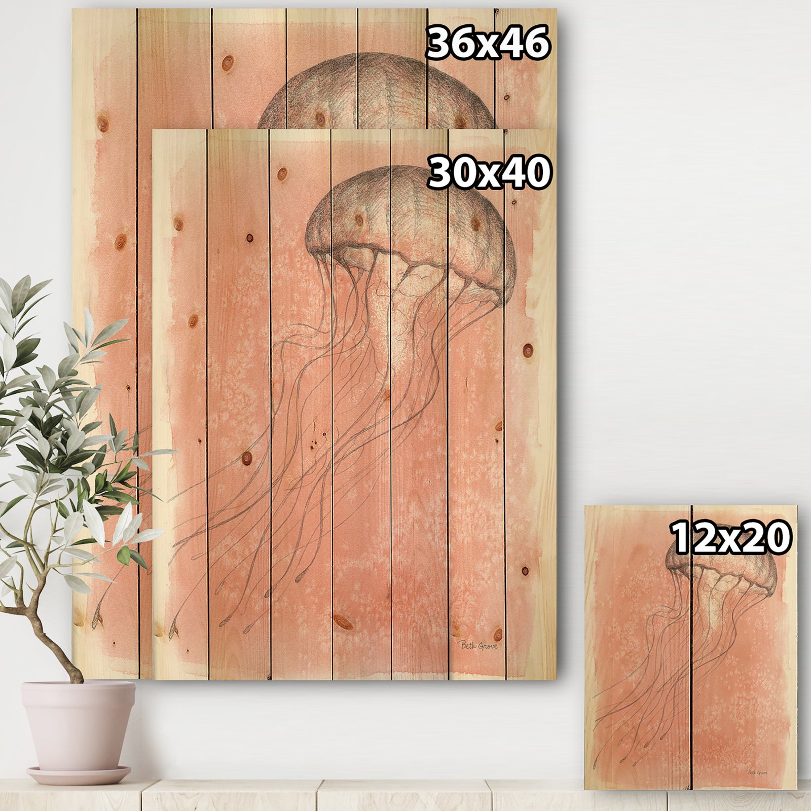 Coastal Sea Life IV jellyfish sketches - Nautical & Coastal Print on Natural Pine Wood
