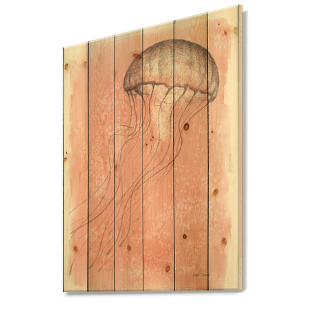 Coastal Sea Life IV jellyfish sketches - Nautical & Coastal Print on Natural Pine Wood