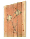 Coastal Sea Life III fish sketches - Nautical & Coastal Print on Natural Pine Wood