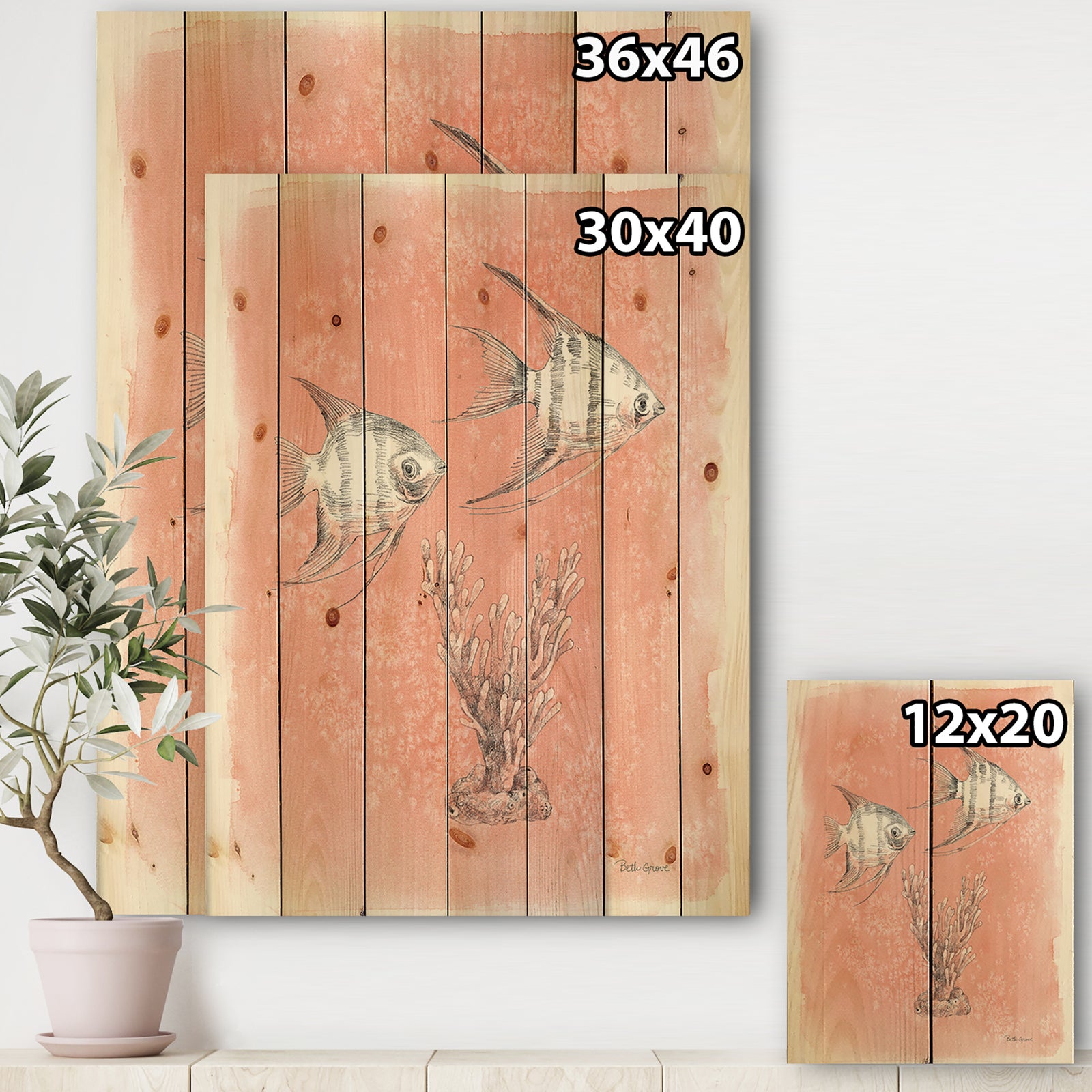 Coastal Sea Life III fish sketches - Nautical & Coastal Print on Natural Pine Wood