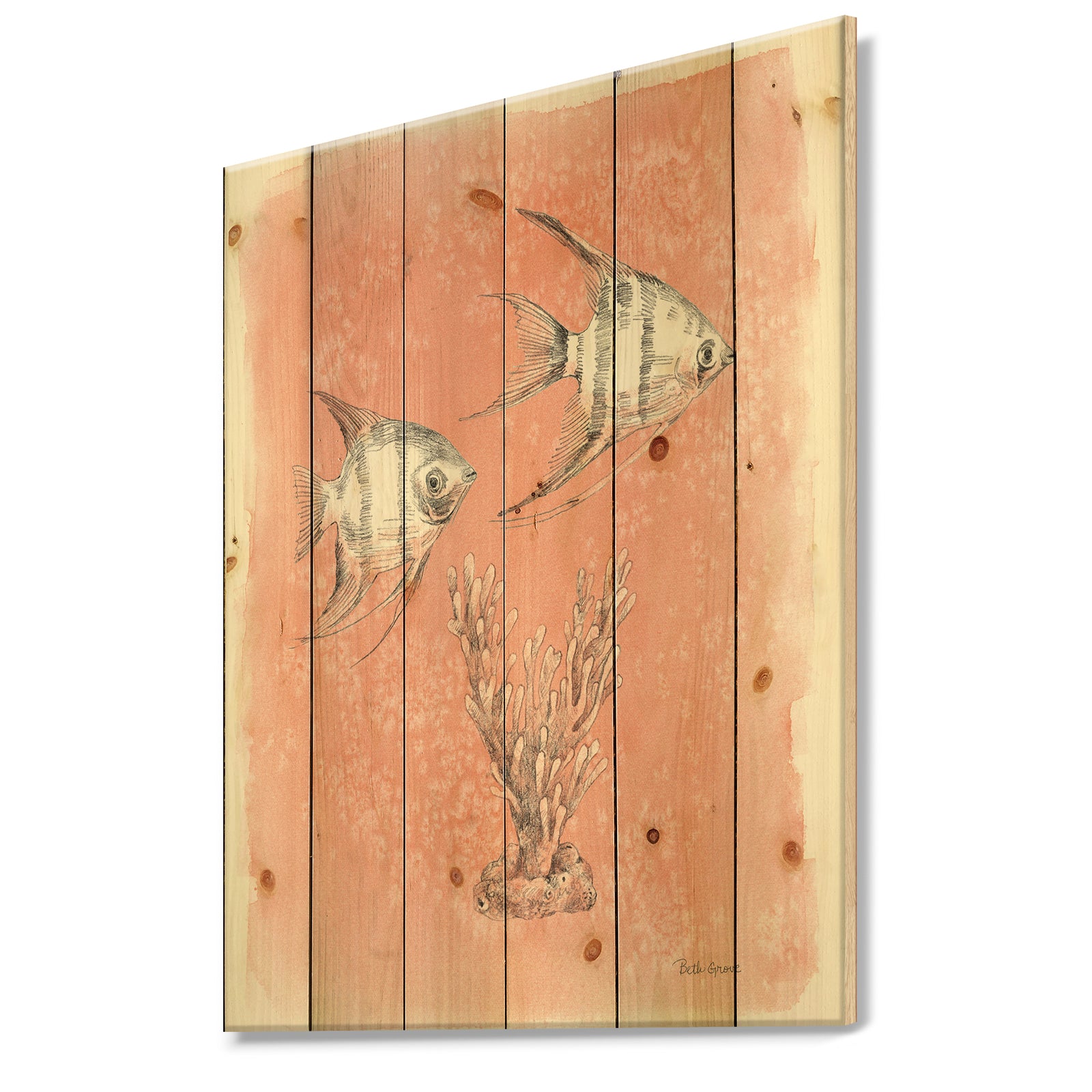 Coastal Sea Life III fish sketches - Nautical & Coastal Print on Natural Pine Wood