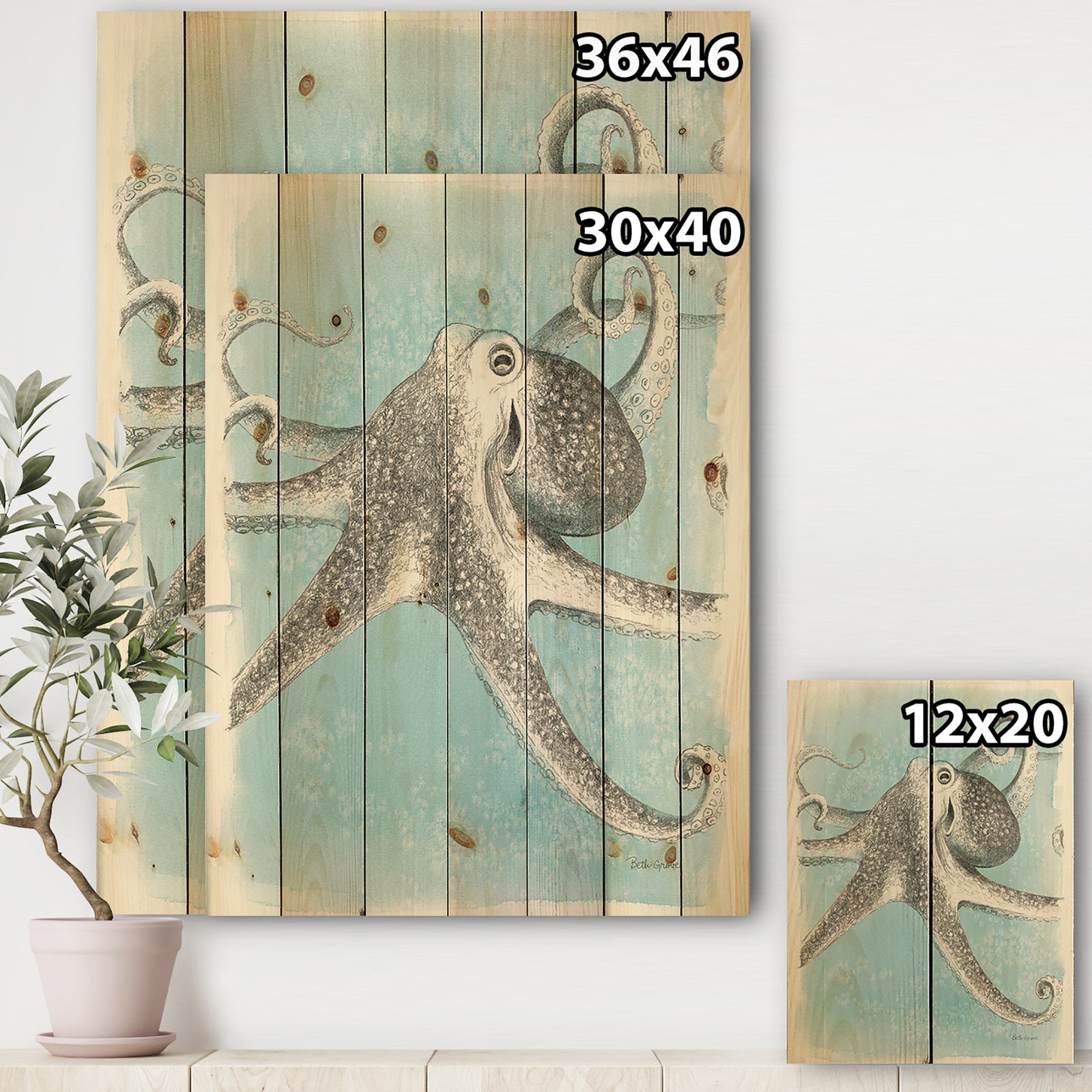 Coastal Sea Life II octopus sketches - Nautical & Coastal Print on Natural Pine Wood