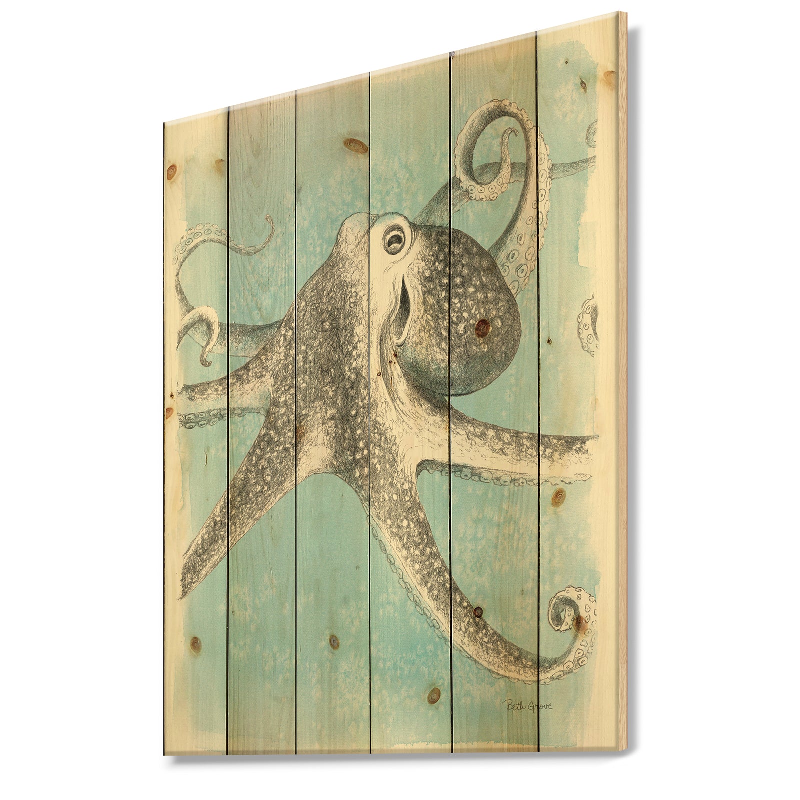 Coastal Sea Life II octopus sketches - Nautical & Coastal Print on Natural Pine Wood