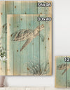 Coastal Sea Life I Turtle sketches - Nautical & Coastal Print on Natural Pine Wood