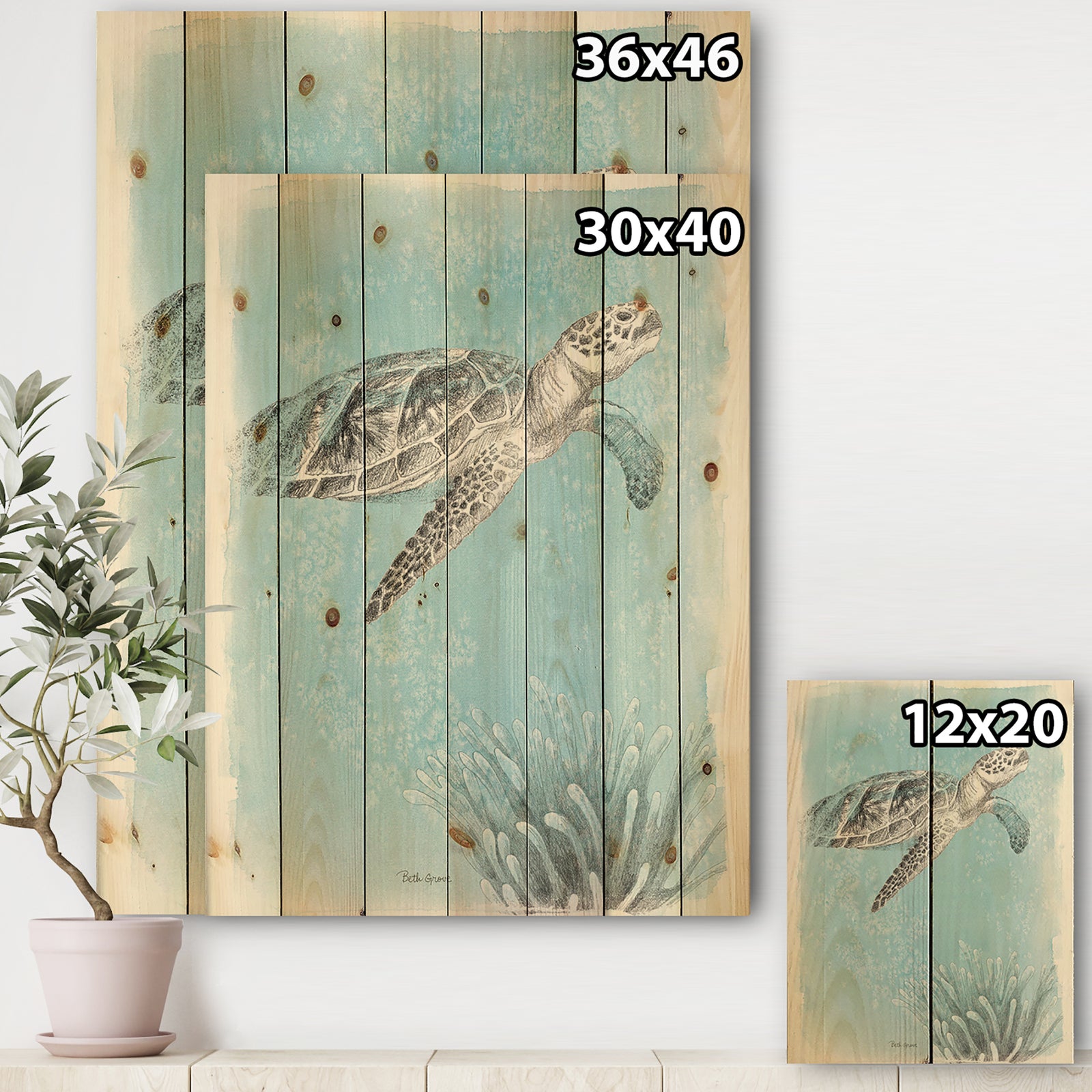 Coastal Sea Life I Turtle sketches - Nautical & Coastal Print on Natural Pine Wood