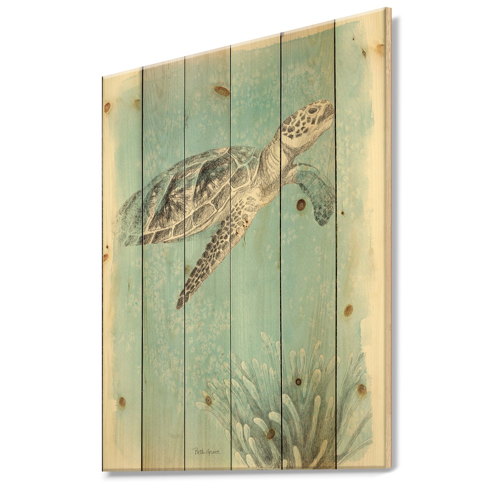 Coastal Sea Life I Turtle sketches - Nautical & Coastal Print on Natural Pine Wood