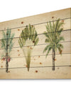 Mixed Botanical Greens palms II - Farmhouse Print on Natural Pine Wood