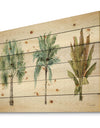 Mixed Botanical Greens palms I - Farmhouse Print on Natural Pine Wood