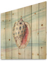 Gilded Sea Horn Shell on Blue - Nautical & Coastal Print on Natural Pine Wood