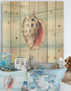 Gilded Sea Horn Shell on Blue - Nautical & Coastal Print on Natural Pine Wood