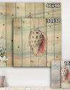 Gilded Sea Horn Shell on Blue - Nautical & Coastal Print on Natural Pine Wood