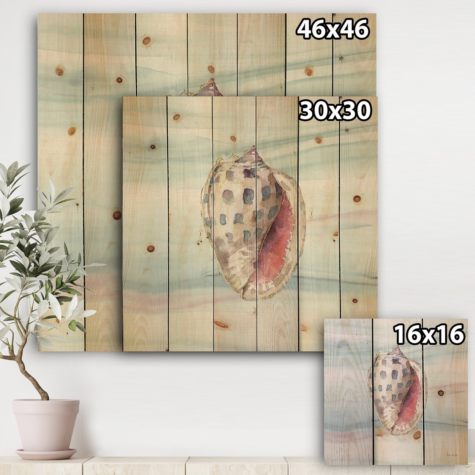 Gilded Sea Horn Shell on Blue - Nautical & Coastal Print on Natural Pine Wood