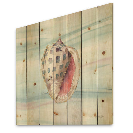 Gilded Sea Horn Shell on Blue - Nautical & Coastal Print on Natural Pine Wood