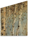 White Birch Forest I - Modern Farmhouse Print on Natural Pine Wood