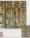 White Birch Forest II - Modern Farmhouse Print on Natural Pine Wood