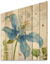 Blue Columbine Wild Flower with Ferns - Cabin & Lodge Print on Natural Pine Wood