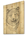 Bear Wild and Beautiful IV - Wildlife Animal Print on Natural Pine Wood