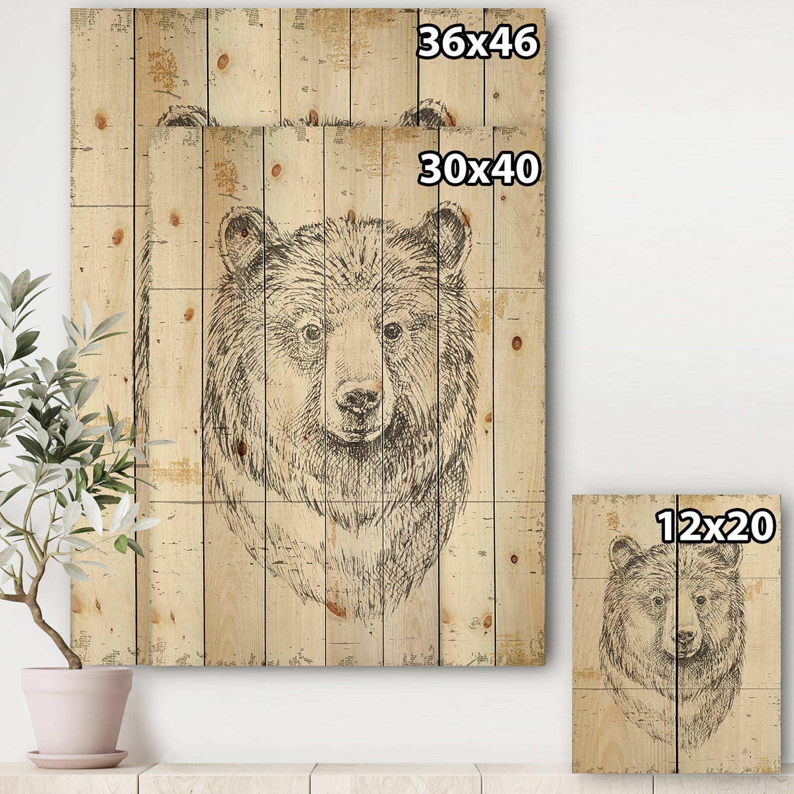 Bear Wild and Beautiful IV - Wildlife Animal Print on Natural Pine Wood