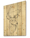 Deer Wild and Beautiful II - Wildlife Animal Print on Natural Pine Wood