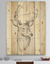 Deer Wild and Beautiful II - Wildlife Animal Print on Natural Pine Wood