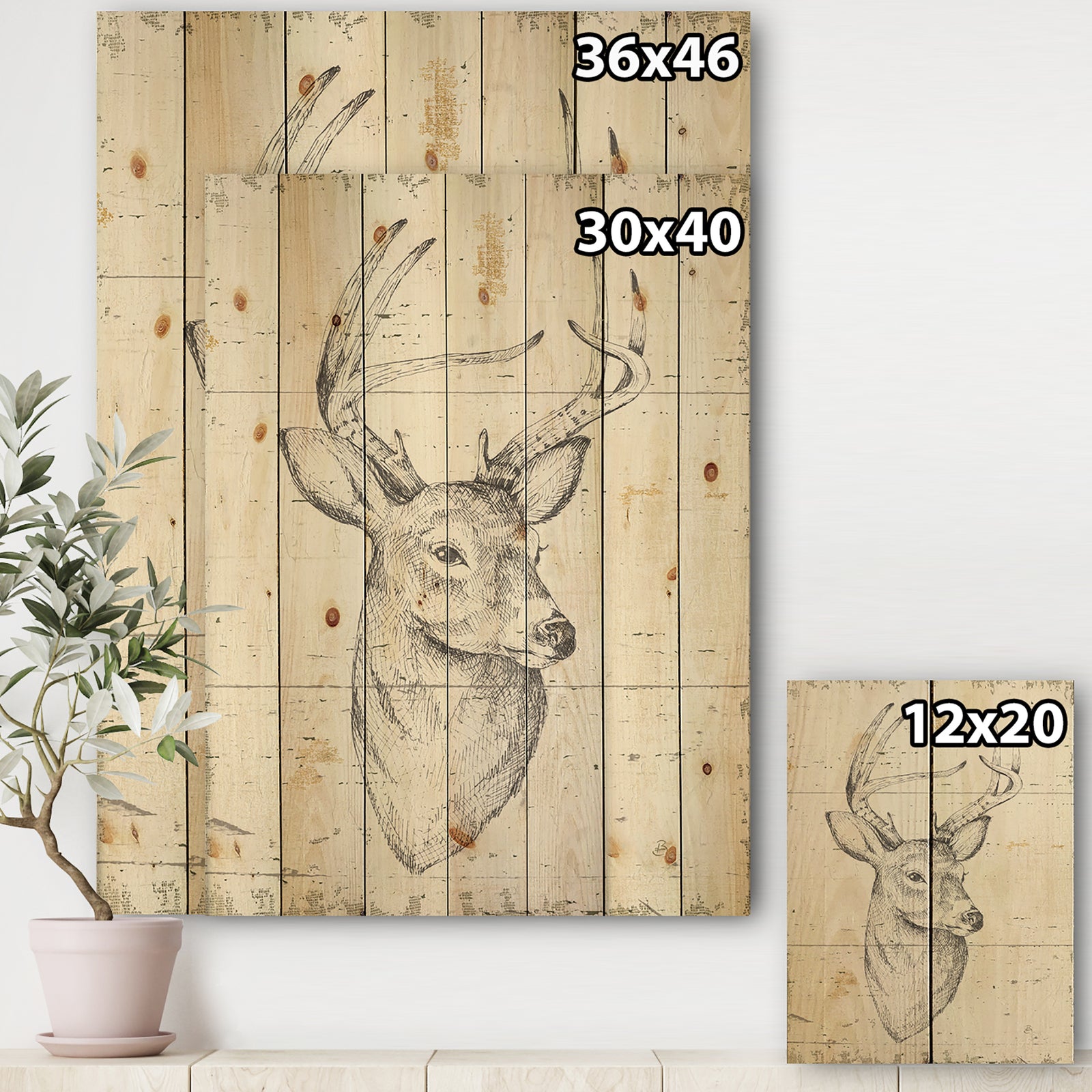 Deer Wild and Beautiful II - Wildlife Animal Print on Natural Pine Wood