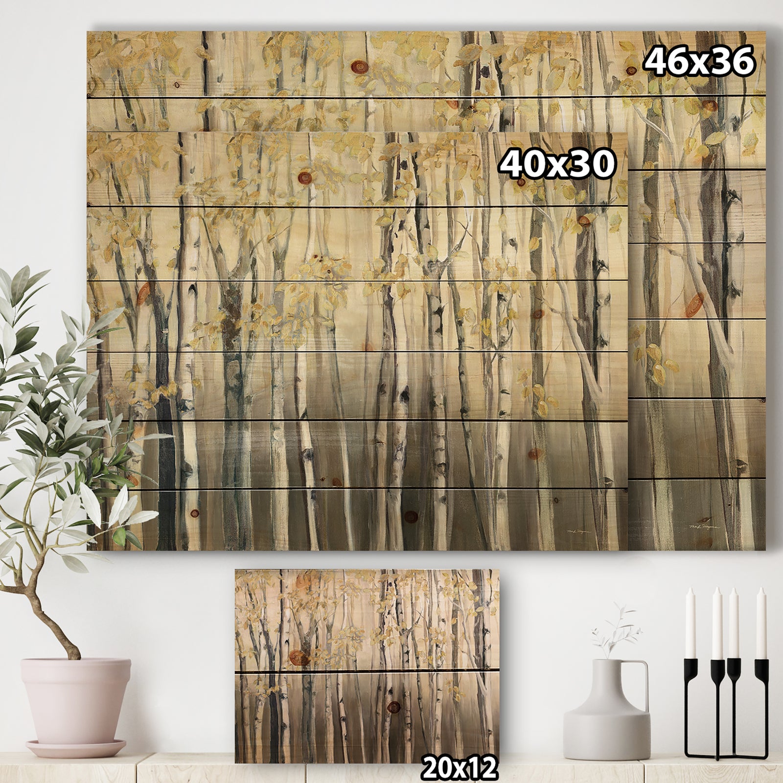 Golden Birch Forest I - Landscapes Print on Natural Pine Wood