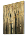 Golden Birch Forest III - Farmhouse Print on Natural Pine Wood