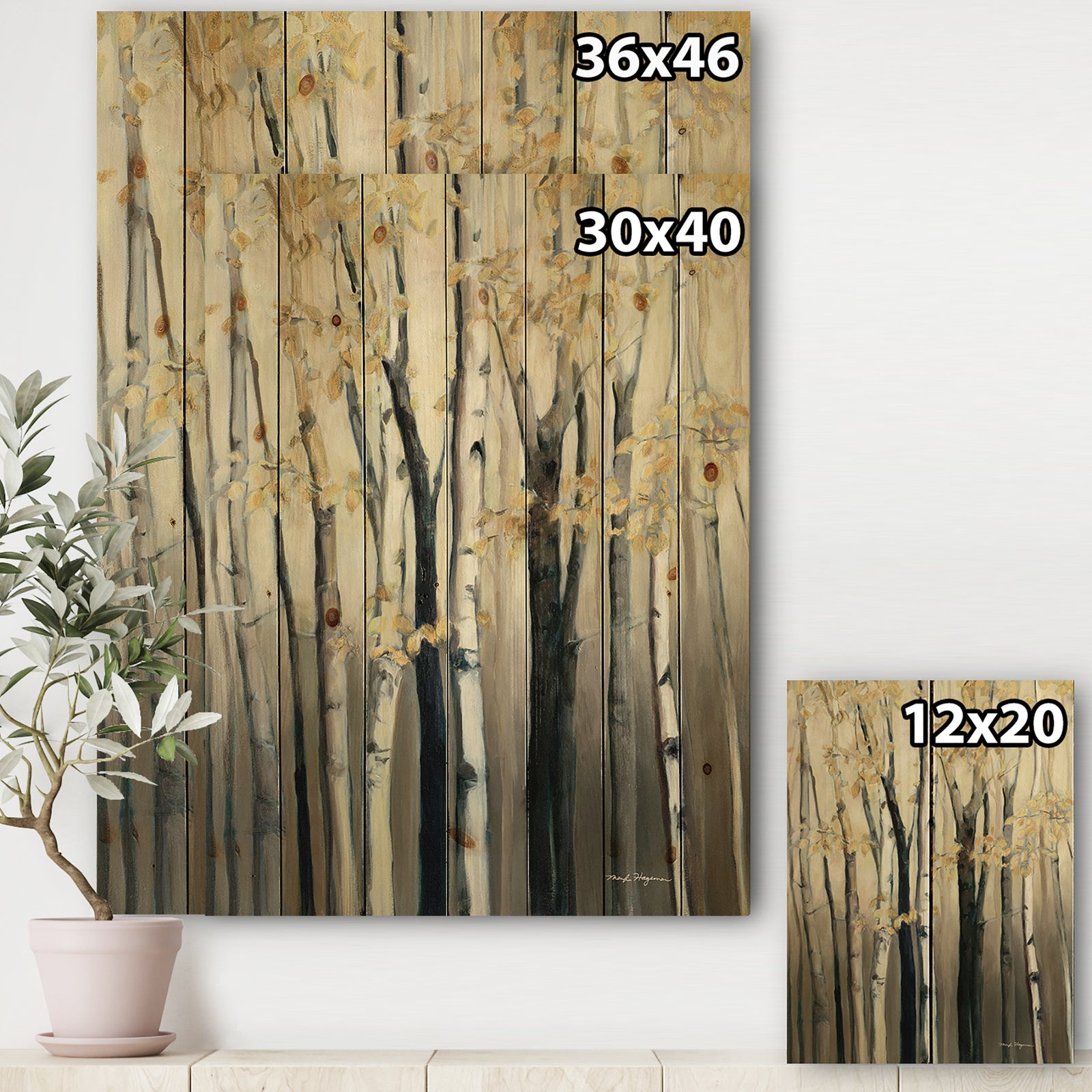 Golden Birch Forest III - Farmhouse Print on Natural Pine Wood