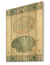 Seastar and Blue Sea Shell II - Nautical & Coastal Print on Natural Pine Wood