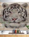 White Bengal Tiger - Animal Art Print on Natural Pine Wood