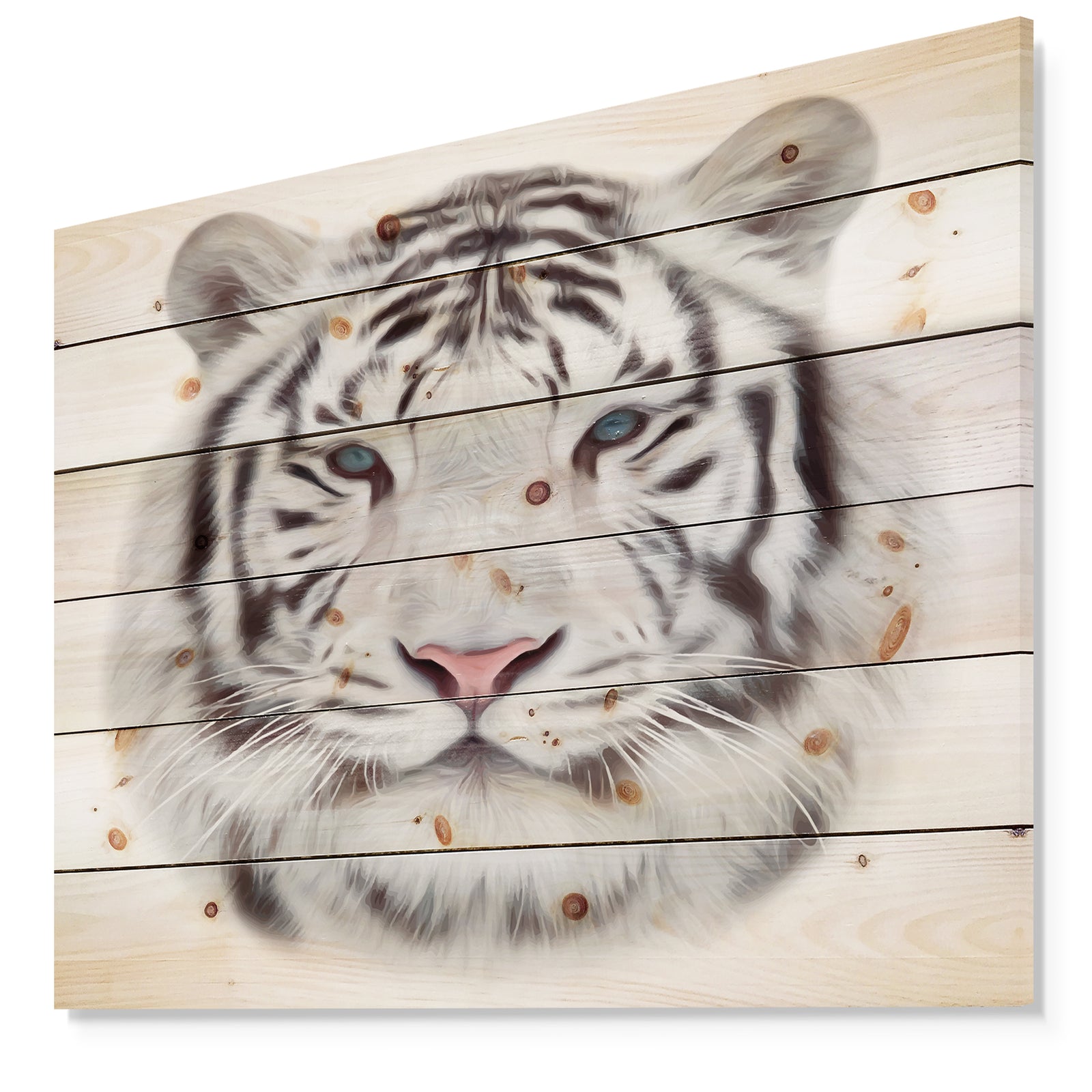 White Bengal Tiger - Animal Art Print on Natural Pine Wood
