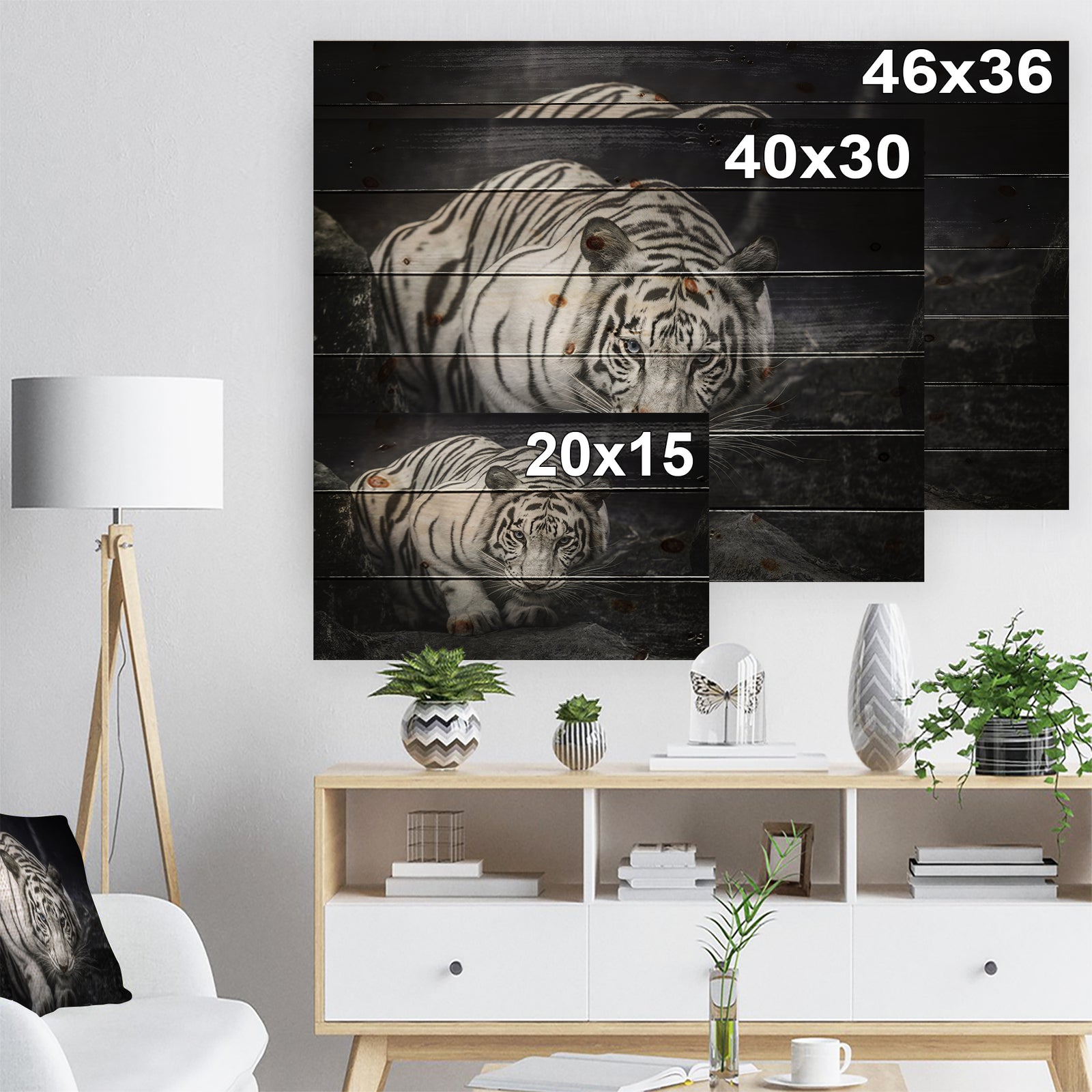 White Tiger - Animal Photography Print on Natural Pine Wood