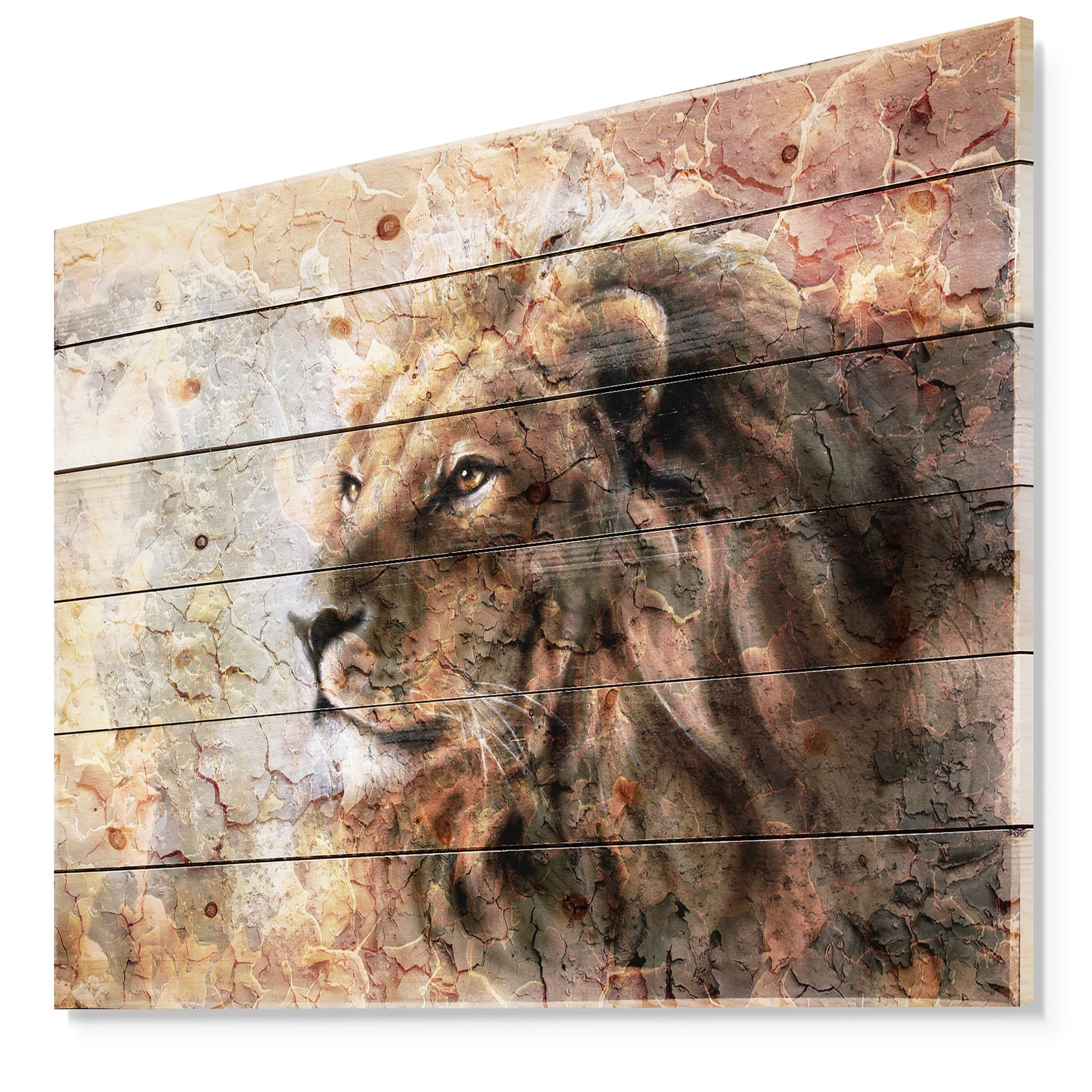 Peaceful Lion - Animal Art Print on Natural Pine Wood